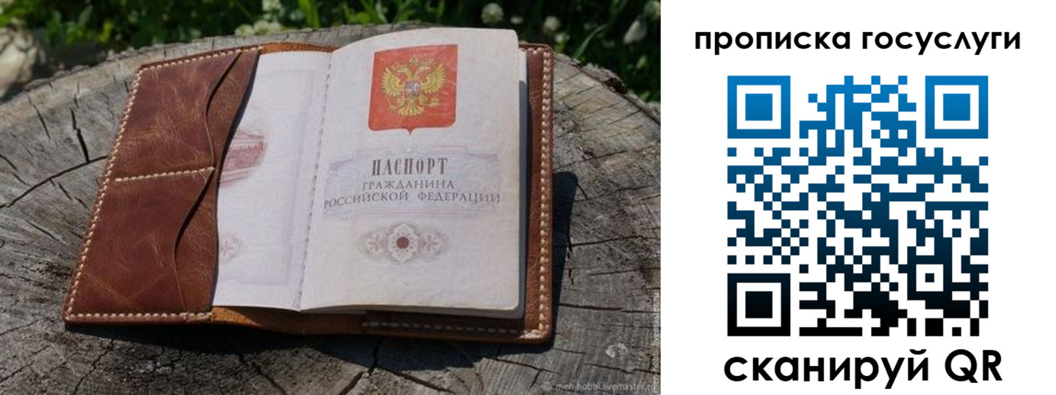 прописка для школы в Топках